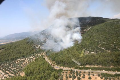 Milas yangın Milas orman yangını Milas'ta orman yangını