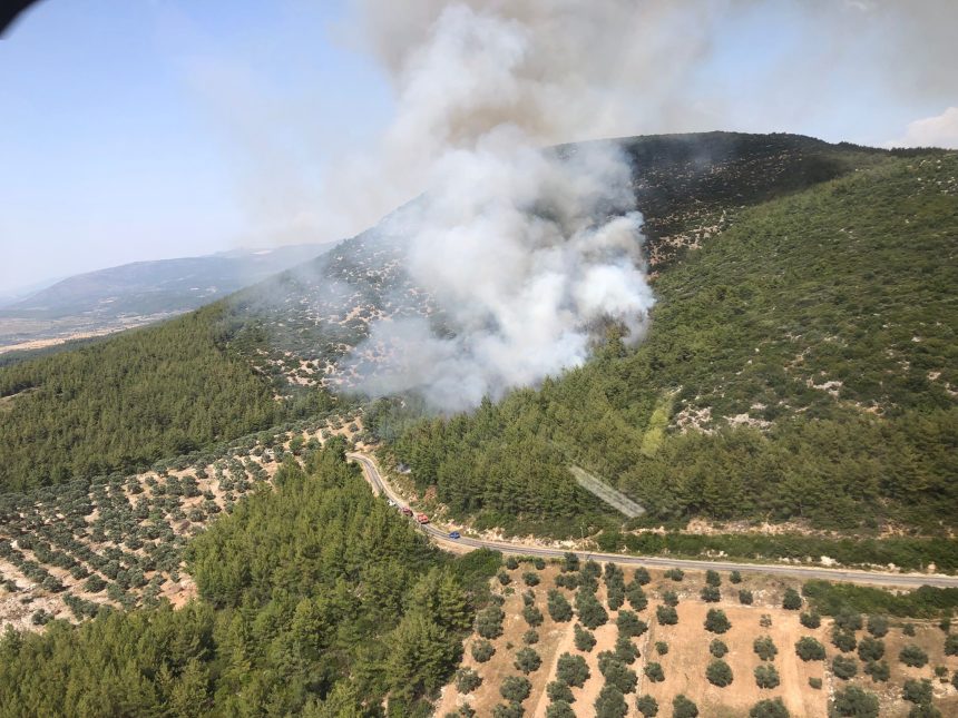 Milas yangın Milas orman yangını Milas'ta orman yangını