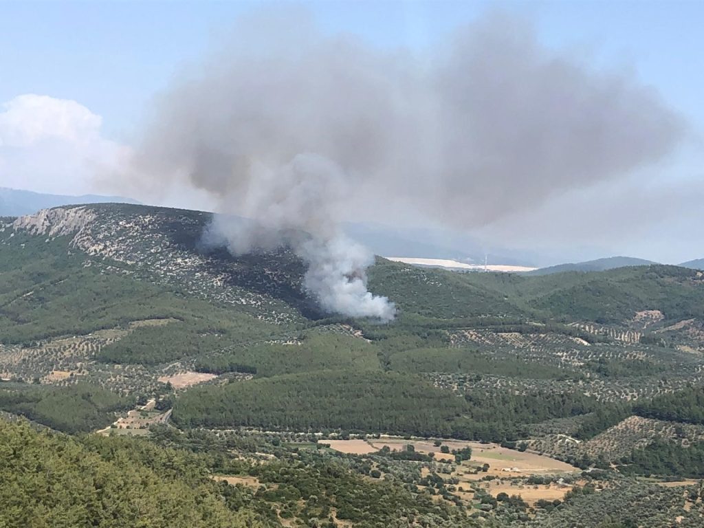 Milas yangın Milas orman yangını Milas'ta orman yangını