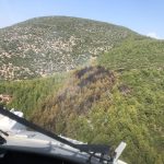 Milas orman yangın orman yangını Milas orman Milas orman yangını söndürüldü