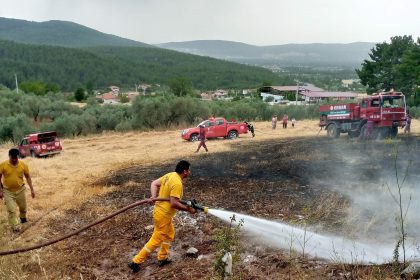 Menteşe yangın Menteşe tarla yangını Muğla Orman Bölge Müdürlüğü Muğla Büyükşehir Belediyesi İtfaiye ekipleri