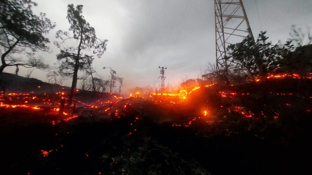 marmaris orman yangını marmaris yangın marmaris inbükü yangın müdahale