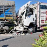 Köyceğiz trafik kazası köyceğiz kaza köyceğiz trafik Köyceğiz kazada iki kişi Köyceğiz-Ortaca Karayolu