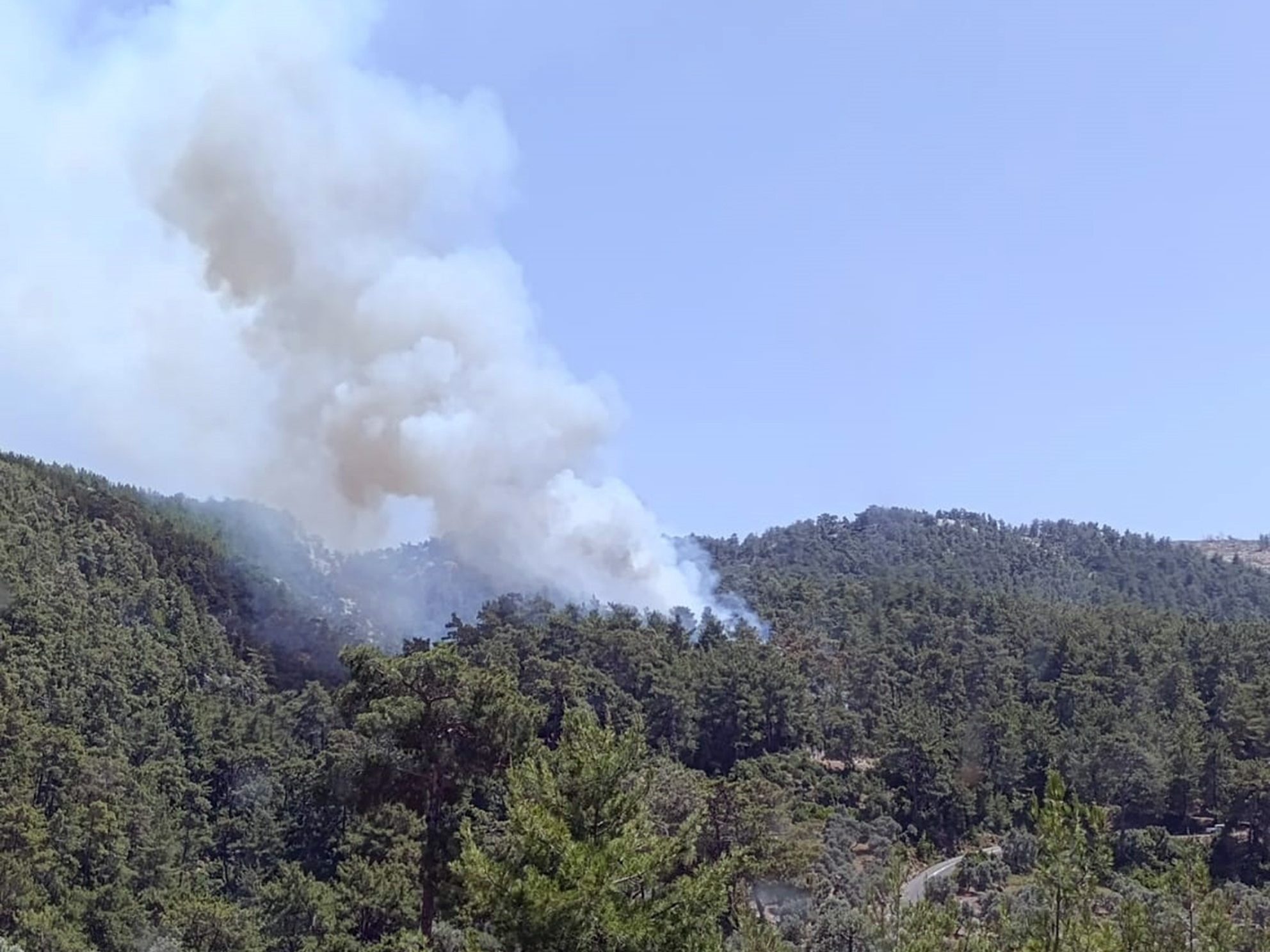 Milas orman yangını  milas yangın milas orman milas'ta yangına müdahale
