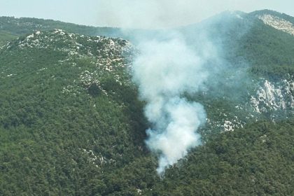 Milas orman yangını milas yangın milas orman milas'ta yangına müdahale