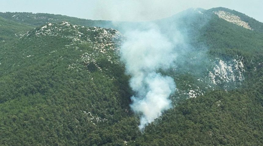 Milas orman yangını milas yangın milas orman milas'ta yangına müdahale