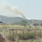 milas yangın Milas orman yangını