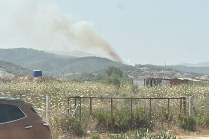 milas yangın Milas orman yangını