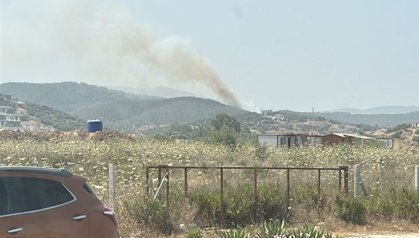 milas yangın Milas orman yangını