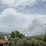 menteşe orman yangını, yangın menteşe