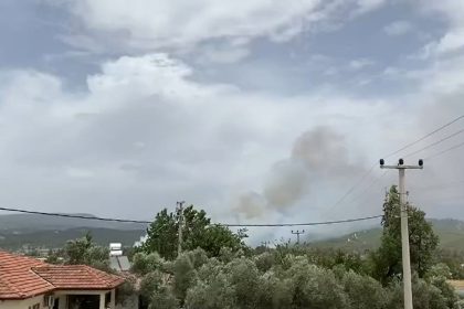 menteşe orman yangını, yangın menteşe