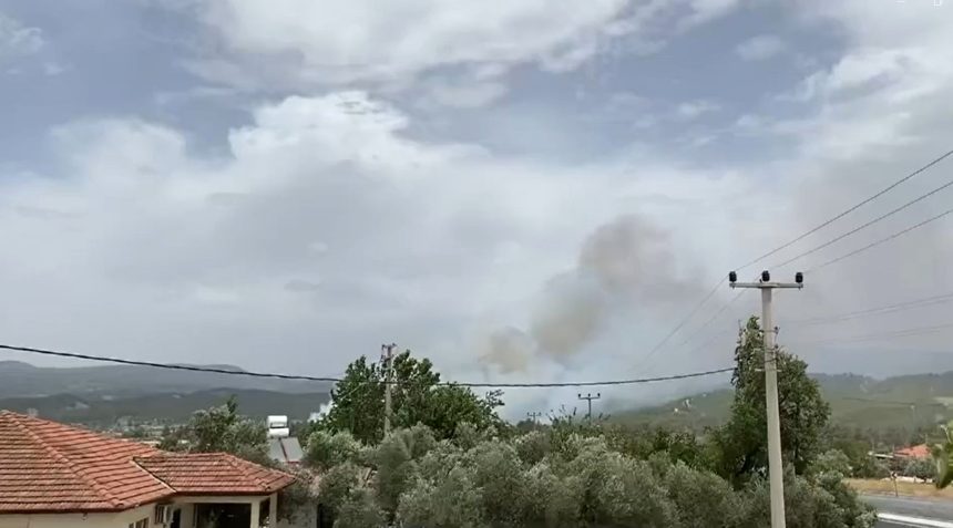 menteşe orman yangını, yangın menteşe