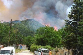 orman yangını milas, Milas-Ören Karayolu yangın, milas yangın, milas orman yangını