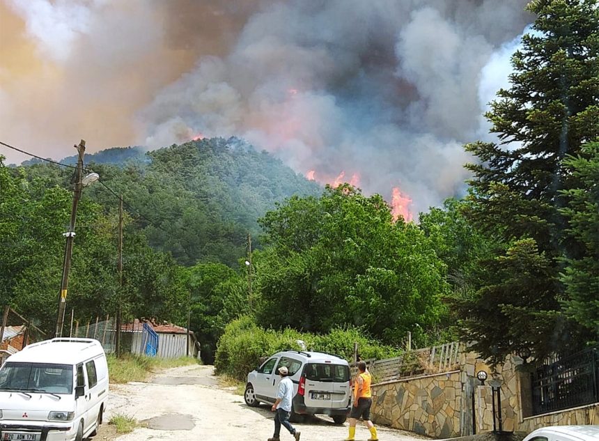 orman yangını milas, Milas-Ören Karayolu yangın, milas yangın, milas orman yangını