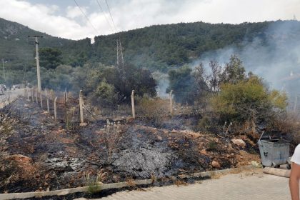 muğla ula akyaka yangın otluk yangını