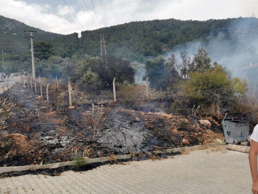 muğla ula akyaka yangın otluk yangını
