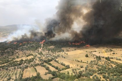 orman yangını milas, Milas-Ören Karayolu yangın, milas yangın, milas orman yangını