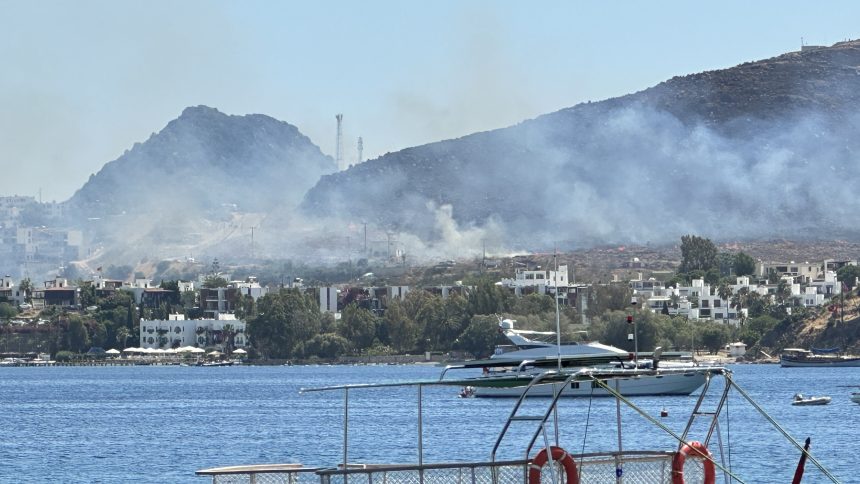 bodrum yangın bodrum otluk alan yangını bodrum otluk alan Bodrum otluk yangını