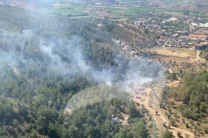 Milas orman yangını Muğla Orman Bölge Müdürlüğü milas yangın orman yangını