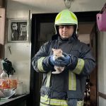 bodrum yangın bodrum altı kedi kurtarıldı bodrum kedi bodrum