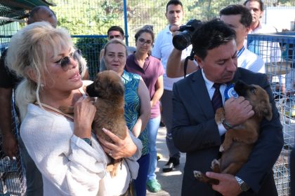 Muğla Büyükşehir Belediyesi Muğla Büyükşehir Belediyesi Geçici Hayvan Bakım Evi Muğla 3 bin 202 sokak hayvanı sokak hayvanı