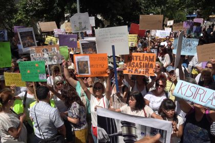 Sokak hayvanları Muğla sokak hayvanları eylemi Muğla protesto Muğla sokak hayvanları Sokak hayvanları öldürmeyi ön gören yasa