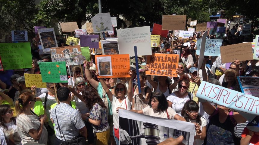 Sokak hayvanları Muğla sokak hayvanları eylemi Muğla protesto Muğla sokak hayvanları Sokak hayvanları öldürmeyi ön gören yasa