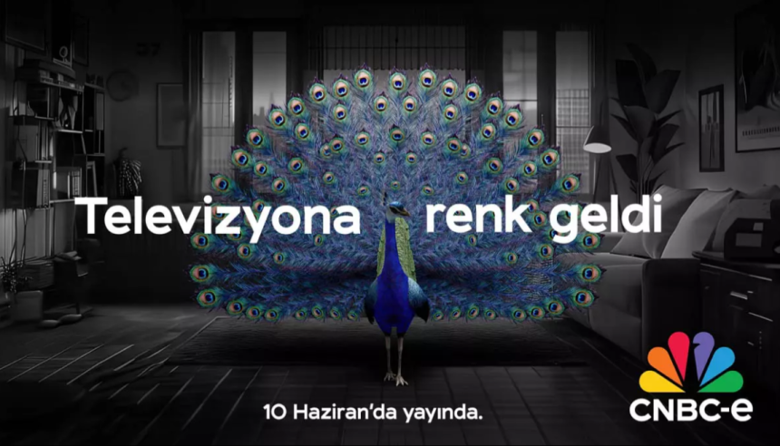 cnbc-e dizileri, cnbc e türkiye, cnbc yayın akışı, ilbak holding kimin, cnbc türkiye