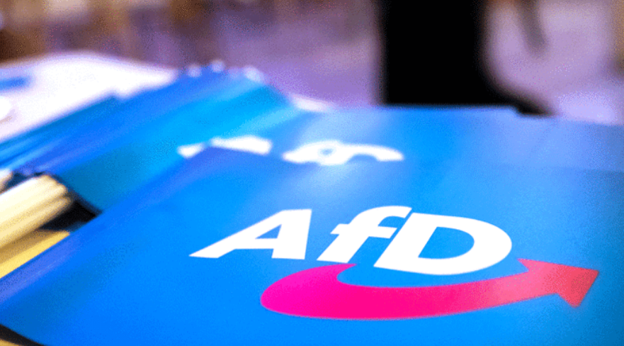 avrupa parlamentosu seçimleri nedir, avrupa parlamentosu seçim sonuçları, almanya seçimleri, ab seçimleri, fransa seçimleri 2024, afd almanya,