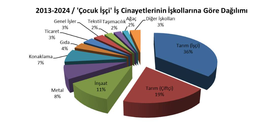 İSİG Meclisi  İSİG Meclisi çocuk iş cinayeti raporu İSİG rapor Çocuk İşçiler İş Cinayetleri Raporu