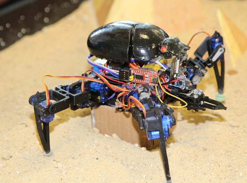 Uluslararası MEB Robot,  MEB Robot yarışması, robot yarışı başvuruları,  Uluslararası MEB Robot başvuruları ne zaman?,  Uluslararası MEB Robot nereden başvurulur?