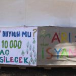 yeşilüzümlü krom karar yeşilüzümlü krom çed davası fethiye yeşilüzümlü krom karar yeşilüzümlü krom çed davası reddedildi