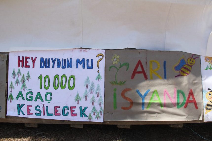 yeşilüzümlü krom karar yeşilüzümlü krom çed davası fethiye yeşilüzümlü krom karar yeşilüzümlü krom çed davası reddedildi
