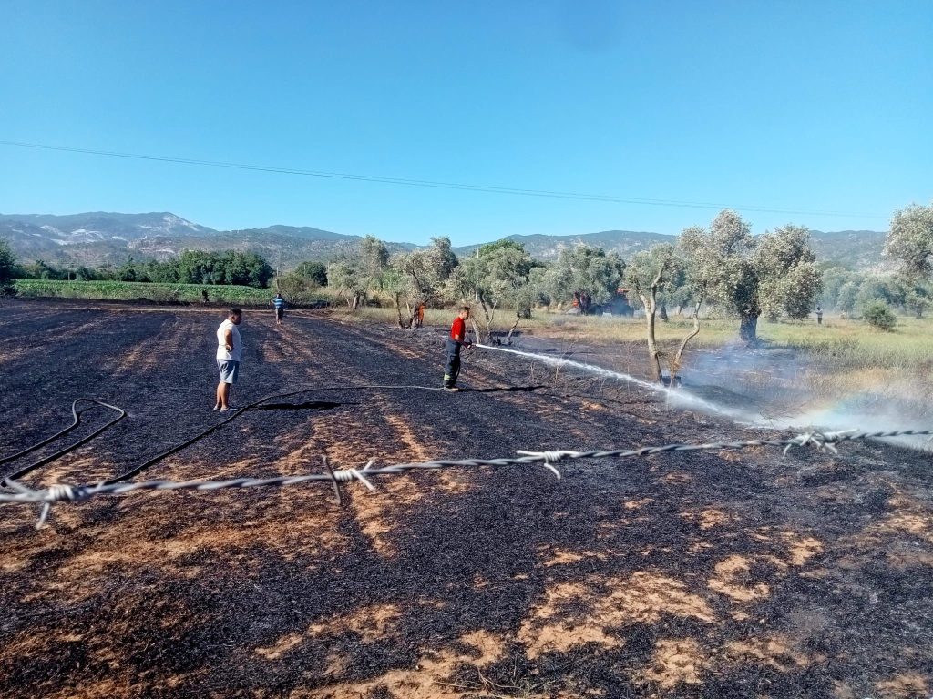 Muğla Büyükşehir Belediyesi muğla anız yangını Muğla Büyükşehir Belediyesi anız yangını muğla yangın