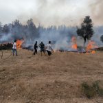 Muğla Büyükşehir Belediyesi muğla anız yangını Muğla Büyükşehir Belediyesi anız yangını muğla yangın