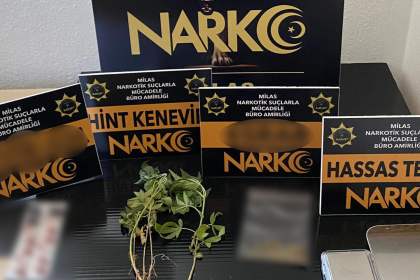 Muğla’da düzenlenen uyuşturucu operasyonlarında, Narkotik Suçlarla Mücadele çalışmaları