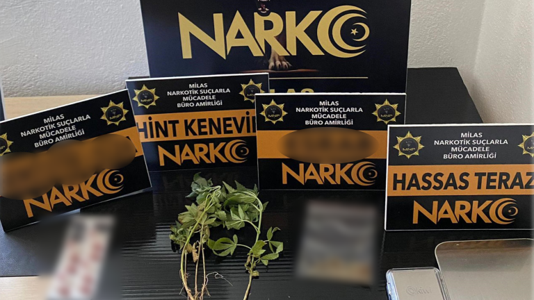 Muğla’da düzenlenen uyuşturucu operasyonlarında, Narkotik Suçlarla Mücadele çalışmaları