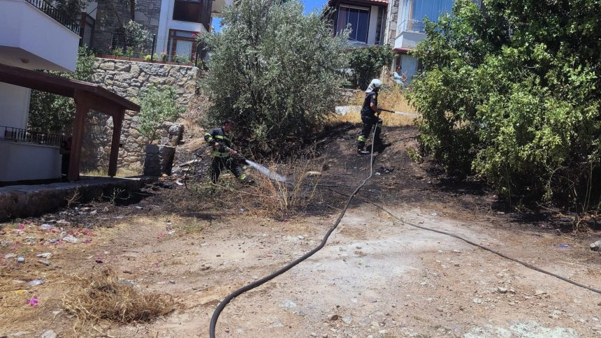 Datça’da çıkan kuru ot yangını, söndürüldü, kuru otlar yanmaya başladı