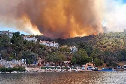 Milas’ta çıkan orman yangını, Muğla’nın Milas ilçesinde çıkan orman yangınına