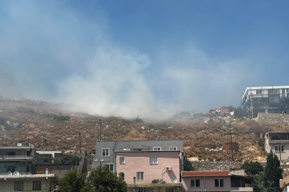 Milas’ta makilik alanda yangın, makilik alanda çıkan yangına