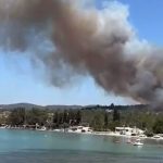 Milas’ta orman yangını, Milas ilçesinde çıkan orman yangınına