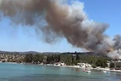 Milas’ta orman yangını, Milas ilçesinde çıkan orman yangınına