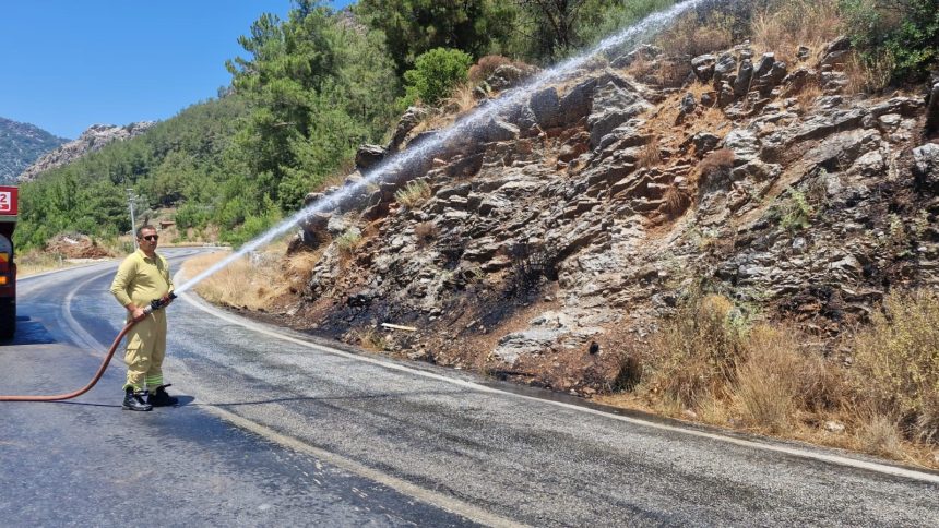 Marmaris’te çıkan yangın, otluk alanda çıkan yangın,
