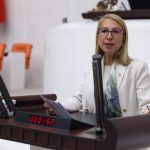 CHP’li Derici, CHP Muğla Milletvekili Süreyya Öneş Derici