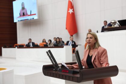 CHP Muğla Milletvekili Süreyya Öneş Derici Süreyya Öneş Derici soru önergesi Süreyya Öneş Derici göçmenlerle soru önergesi chp muğla milletvekili