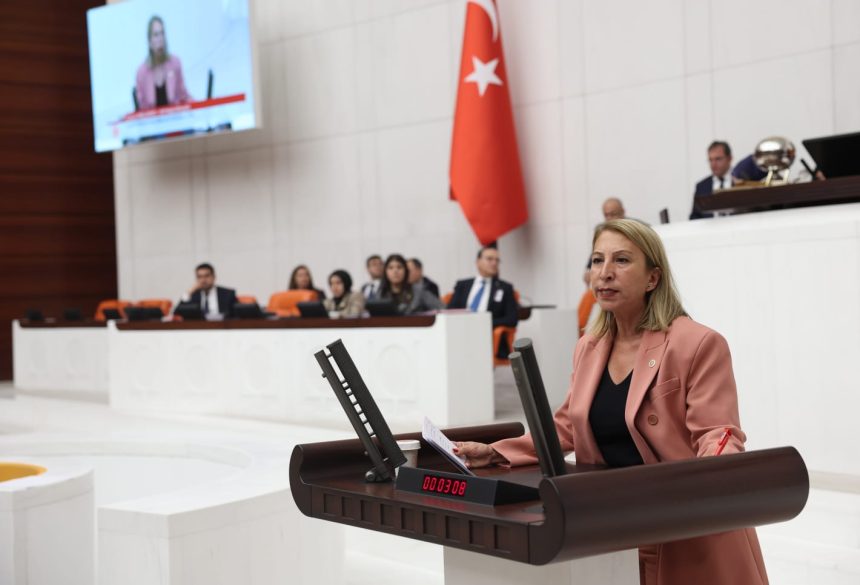 CHP Muğla Milletvekili Süreyya Öneş Derici Süreyya Öneş Derici soru önergesi Süreyya Öneş Derici göçmenlerle soru önergesi chp muğla milletvekili