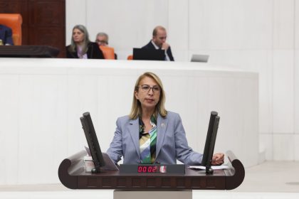 CHP Muğla Milletvekili Süreyya Öneş Derici, yabancı uyruklular ile göçmenlere ilişkin,