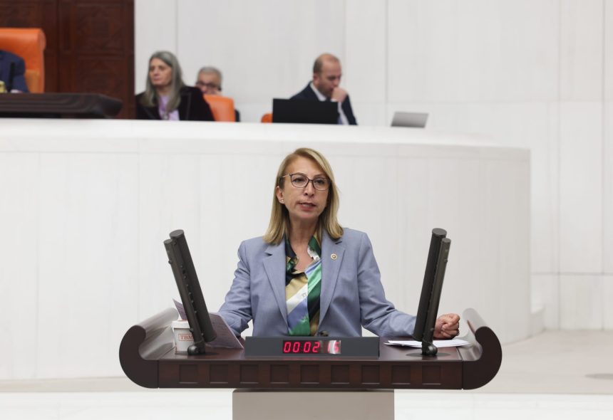 CHP Muğla Milletvekili Süreyya Öneş Derici, yabancı uyruklular ile göçmenlere ilişkin,