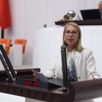 süreyya öneş derici tbmm chp derici kadın konuşması