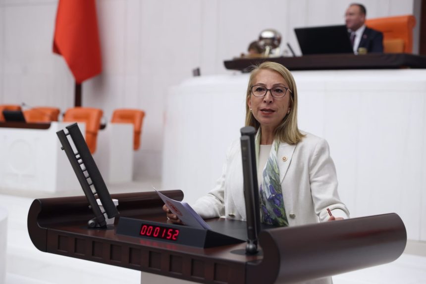 süreyya öneş derici tbmm chp derici kadın konuşması